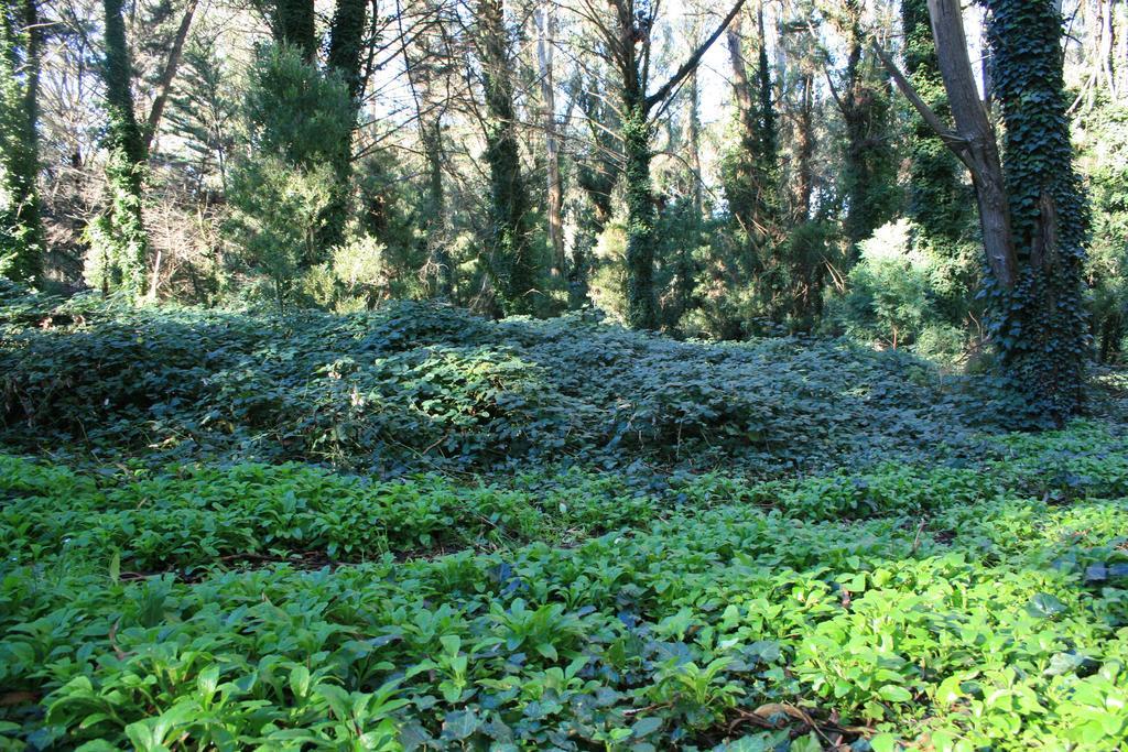 Las Cortaderas Bosque Peralta Ramos มาร์เดลปลาตา ภายนอก รูปภาพ